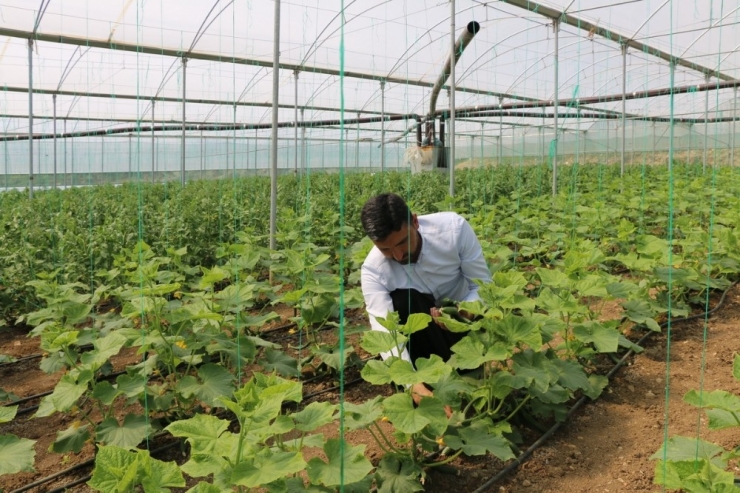 Gençlere Örnek Oldu