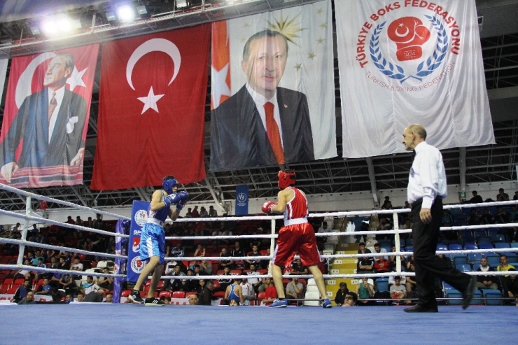Türkiye Boks Şampiyonası Sona Erdi