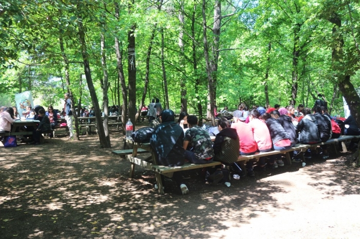 Sığla Ağaçları Altında Kitap Okudular