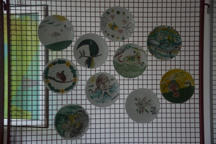 Entegre Yüksekokulu’ndan Farkındalık Sergisi