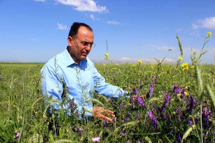 Canlılarının Hayatını Kurtaracak Proje Tuttu