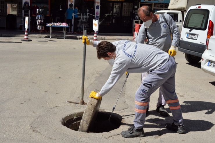 Büyükşehir, Mersin’de İlk Kez Görülen Sinek Türüne Karşı Etkin Mücadele Başlattı