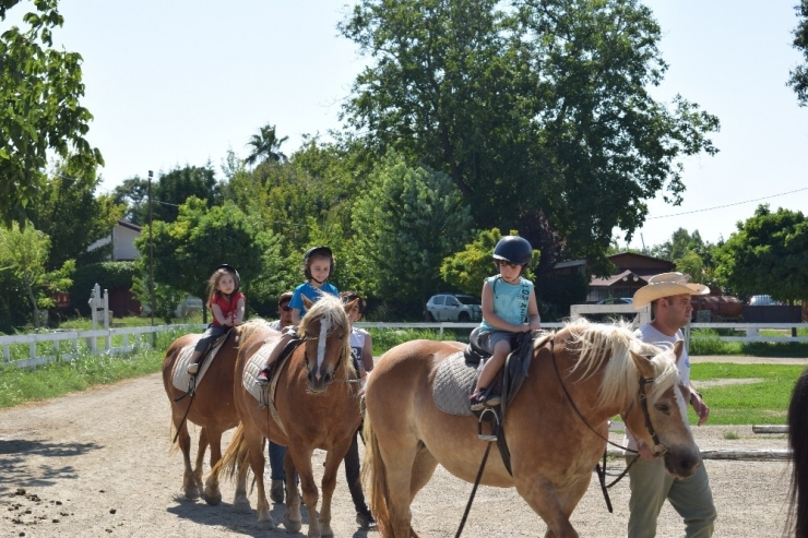 Yaz Okulları Başlıyor