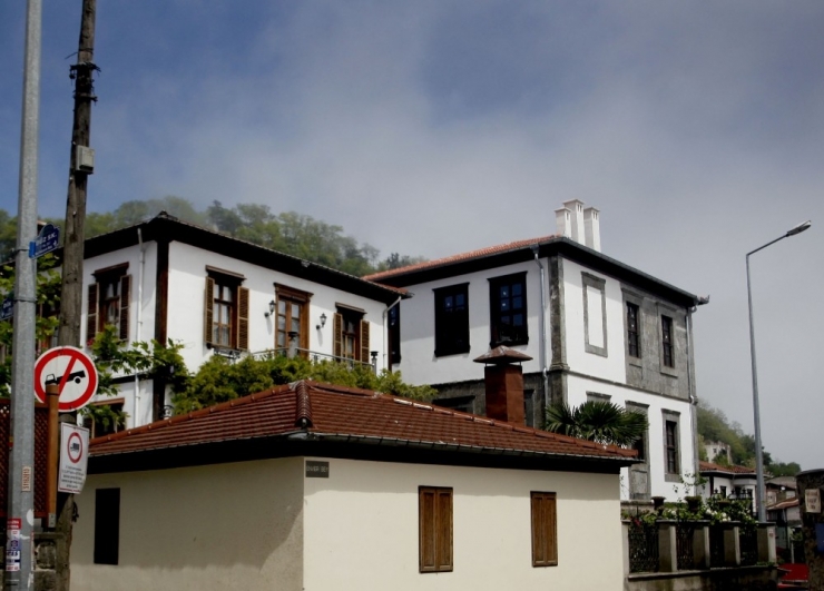 Fındık Karşılığı Kurulan Semt: Zeytinlik