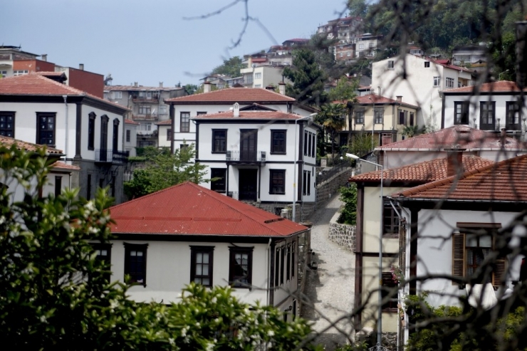 Fındık Karşılığı Kurulan Semt: Zeytinlik