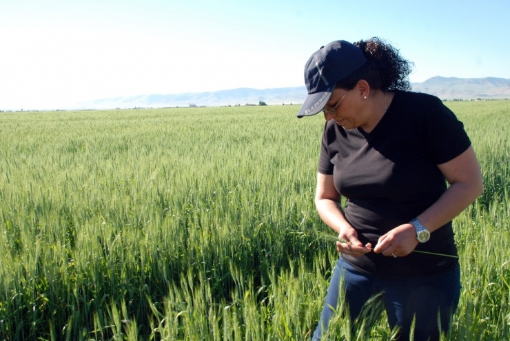 Dede Mirası Mesleğinin Tek Kadın Temsilcisi