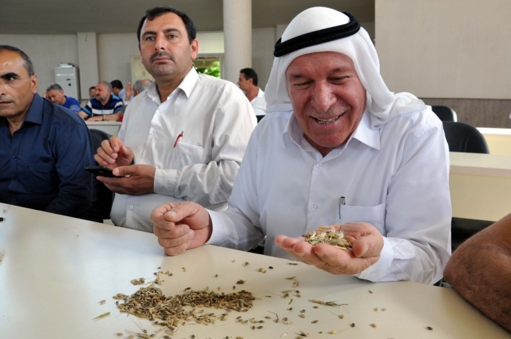 Kızıltepe’de İlk Arpa Hasadı Başladı