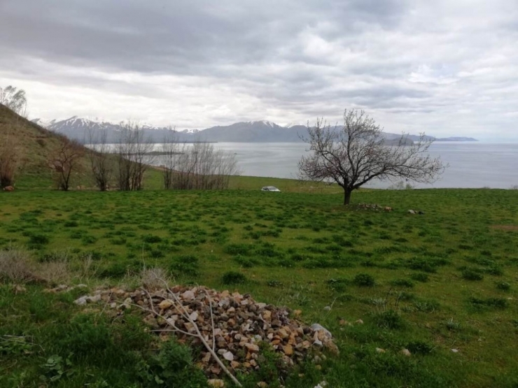 Vatandaşların Taş Ocağı Tepkisi