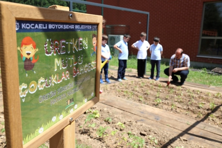 Kocaeli’de Okul Bahçesine Kurulan Seralar Minik Öğrencileri Toprakla Tanıştırıyor