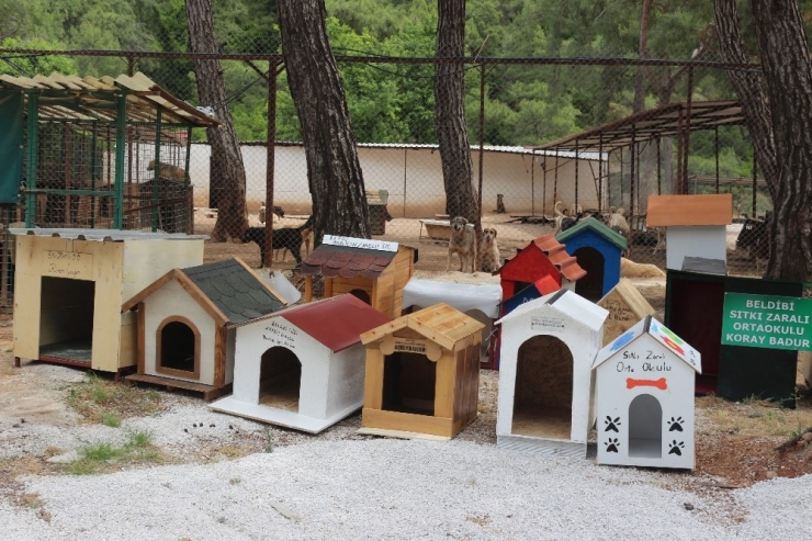 Öğrenciler ‘Sevimli Dostlara’ Kulübe Yaptı