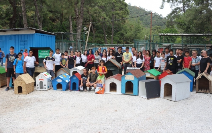 Öğrenciler ‘Sevimli Dostlara’ Kulübe Yaptı