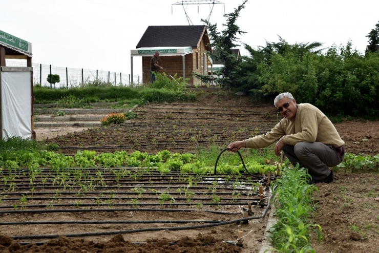 ’Gönül Bahçeleri’nde Üretimin Hazzını Yaşıyorlar