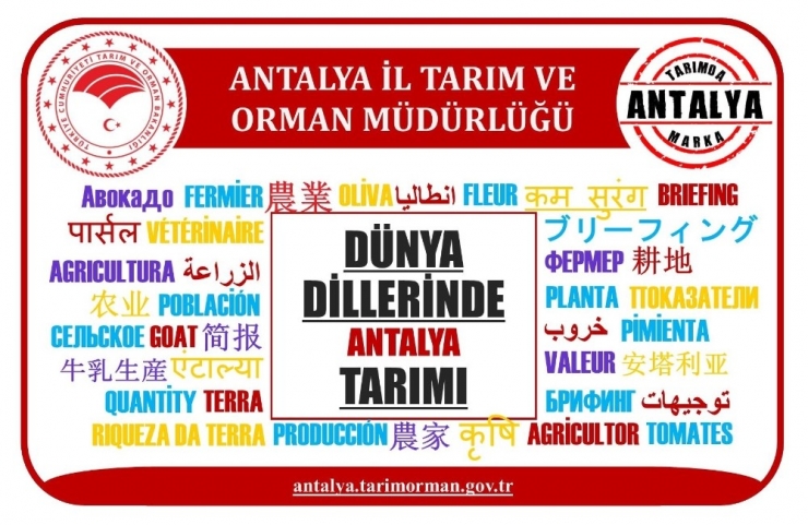 Antalya’nın Tarımı 10 Farklı Dilde Tanıtılıyor