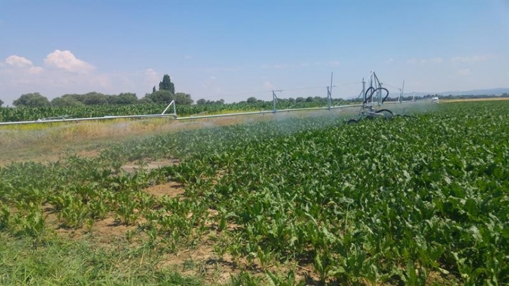 Bireysel Sulama Sistemlerine Yüzde 50 Hibe Desteği