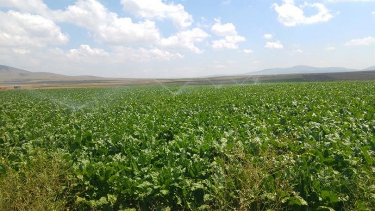 Bireysel Sulama Sistemlerine Yüzde 50 Hibe Desteği