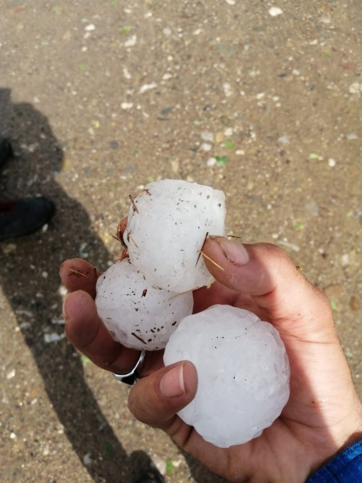 Ceviz Büyüklüğündeki Dolu Tarlalara Zarar Verdi