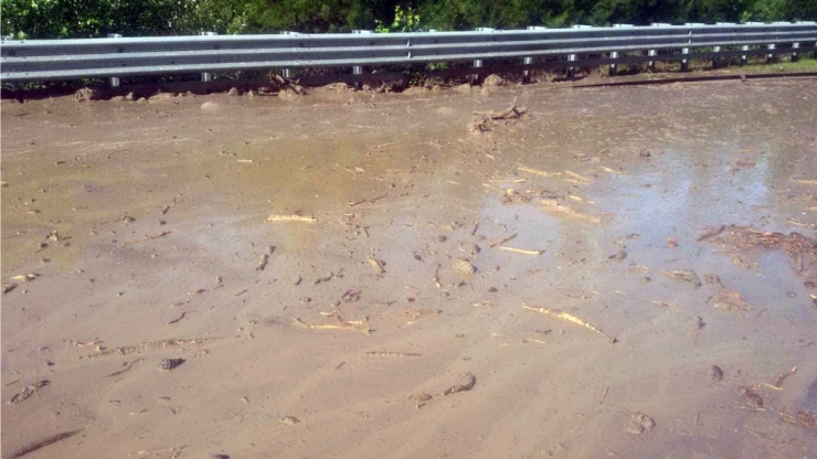 Aşırı Yağış Sele Ve Heyelana Sebep Oldu