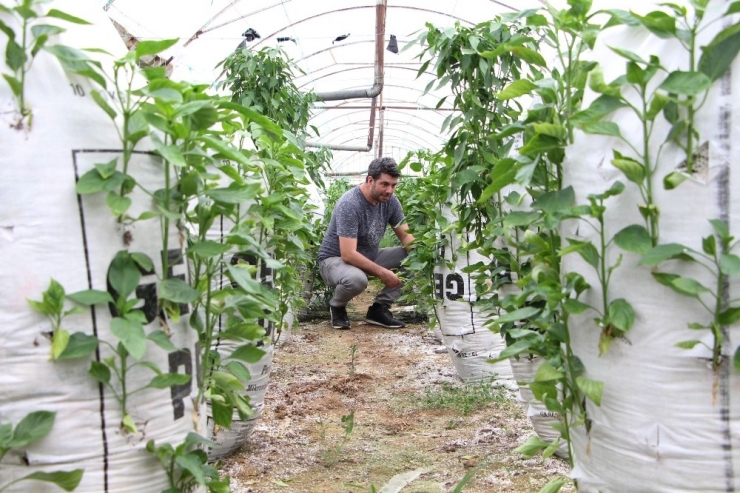 Elektrik Mühendisi, Serasında ’Çuval’la Para Kazanıyor