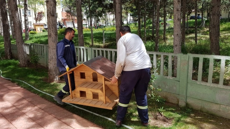 Kedi Evlerinin Sayısı Gün Geçtikçe Artıyor