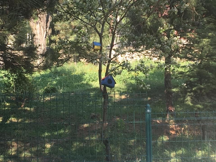 Ağaçlara Kuş Evler Monte Edildi