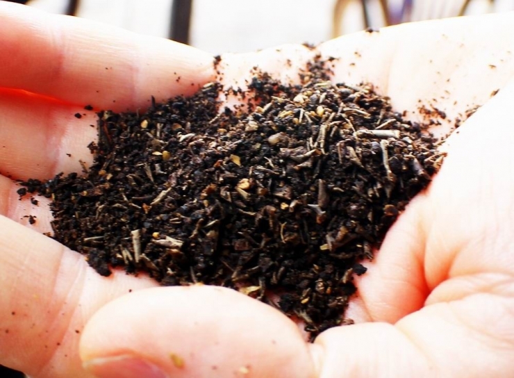 Çevre Müdürü Al; “Aydın, Prina Konusunda Türkiye’ye Önderlik Yapabilir”