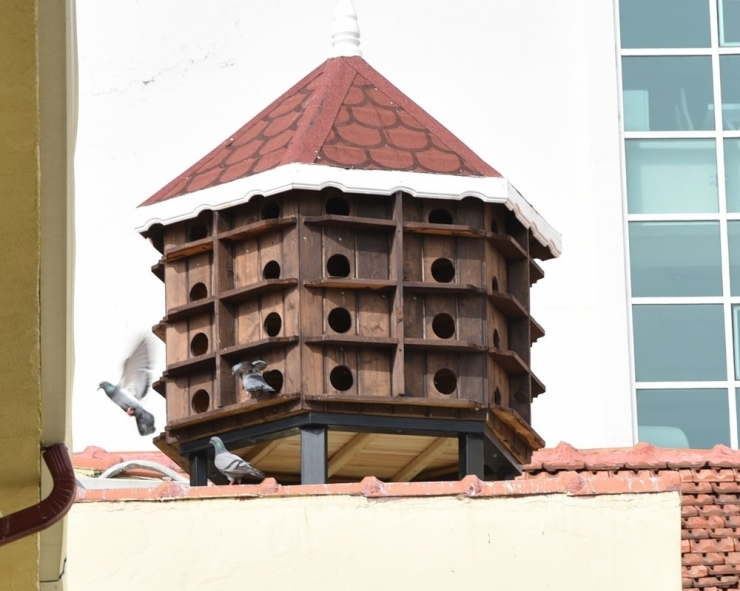 Güvercinlere Saray Gibi Yuva