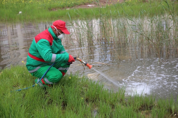 Karaköprü’de Haşereyle Mücadele Sürüyor