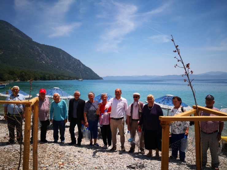 Muğla’nın Çınarları, Ağaç Katliamı Sonrası Dikilen Fidanları Suladı