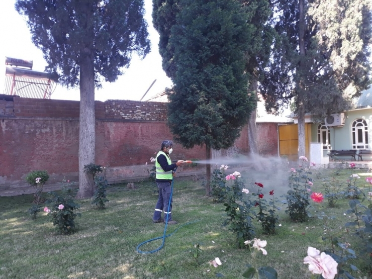 Turgutlu’da İlaçlama Çalışmaları Aralıksız Sürüyor