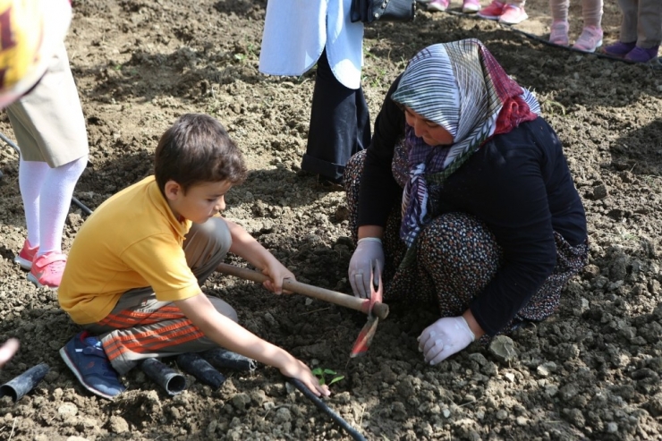 Bolu’da, Minik Öğrenciler Toprakla Buluştu