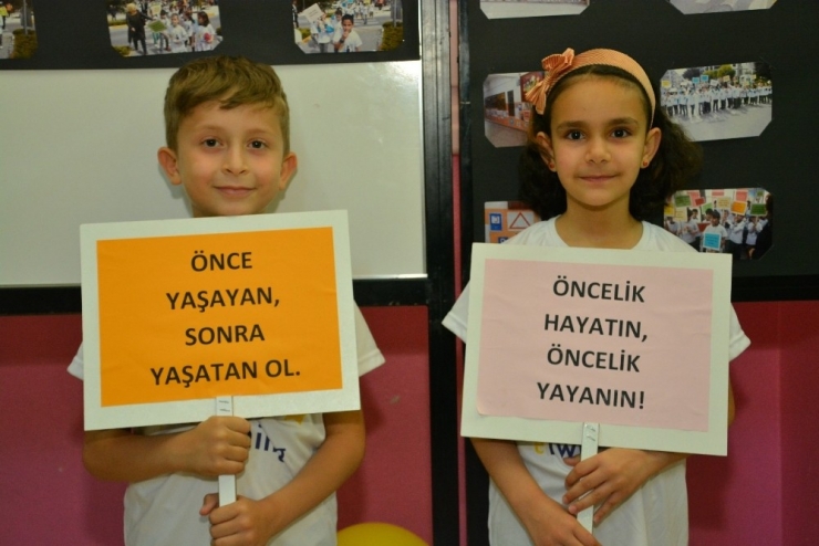 Öğrencilerin Hazırlığı Projeler Sergilendi