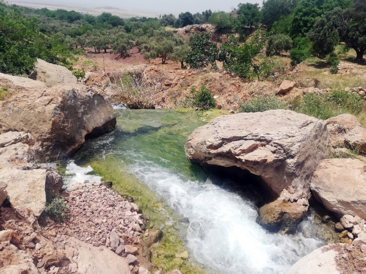Gap Şelalesi Turizme Kazandırılıyor