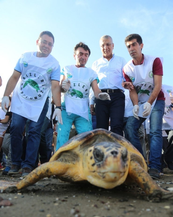 100. Yıl Tabiat Parkı’nda Yapılması Planlanan Festival İptal Edildi