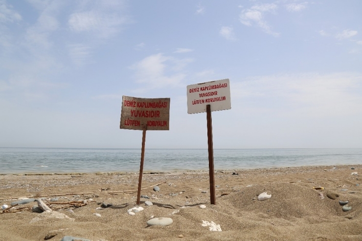 100. Yıl Tabiat Parkı’nda Yapılması Planlanan Festival İptal Edildi