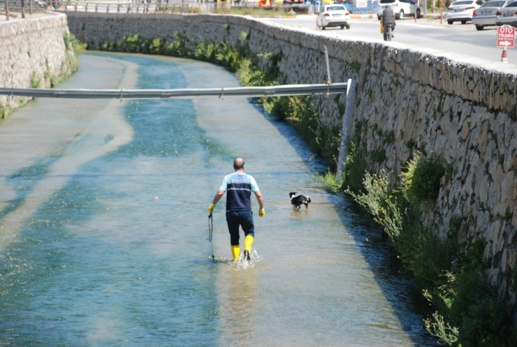 Dereye Düşen Köpeği Kurtarma Operasyonu