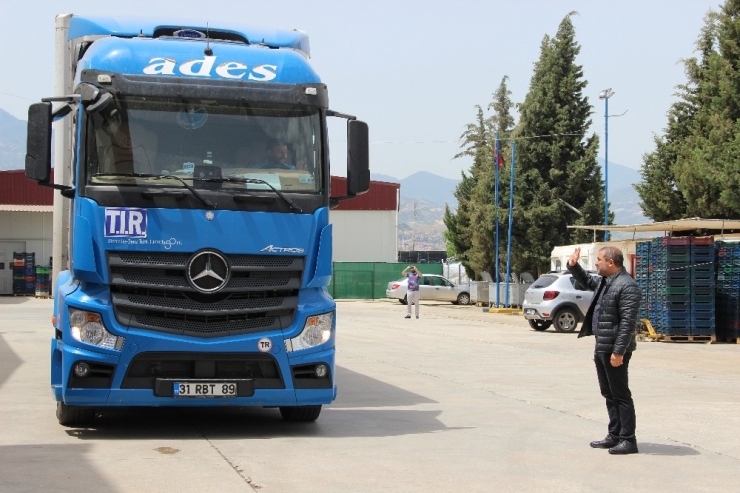 Kirazda İhracatında Yüzde 20 Artış Bekleniyor