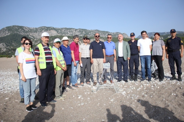 Çıralı’da İlk Caretta Caretta Yuvası Törenle Numaralandırıldı