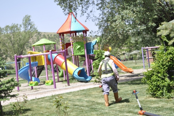 Şuhut Hors Mesire Alanında Çim Biçme Çalışmaları