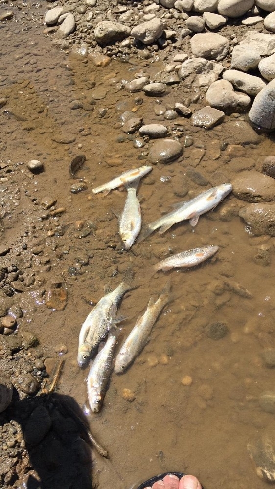Kozluk’ta Sondaj Atıkları Çevre Felaketine Neden Oldu İddiası