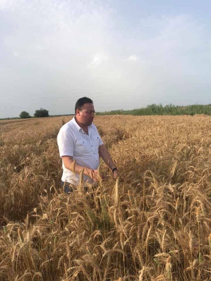 Tarsus’ta Buğday Hasadı Devam Ediyor