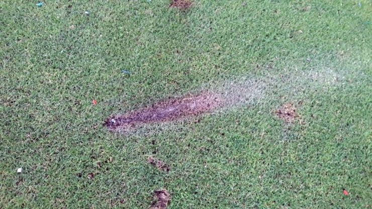 Bursaspor’un Stadyumunda 1.5 Milyon Tl’lik Zarar