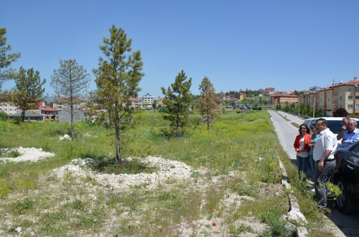 Emet’te Şehir İçi Düzenleme Ve Peyzaj Çalışmaları