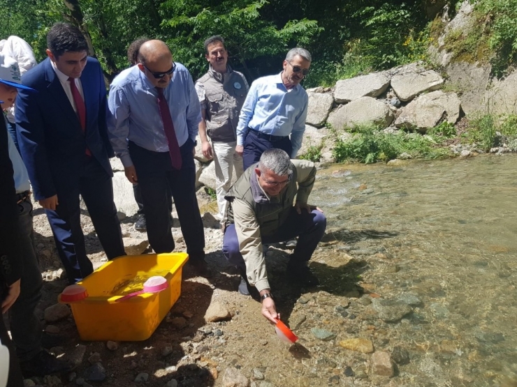 ’Dereleri Kirletme, Balıkları Öldürme’ Etkinliği İle Solaklı Deresi’ne Balık Bıraktılar