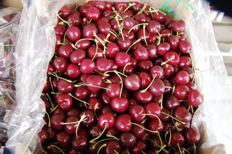 Kiraz Ve Üzümüne 12 Ay İhracat