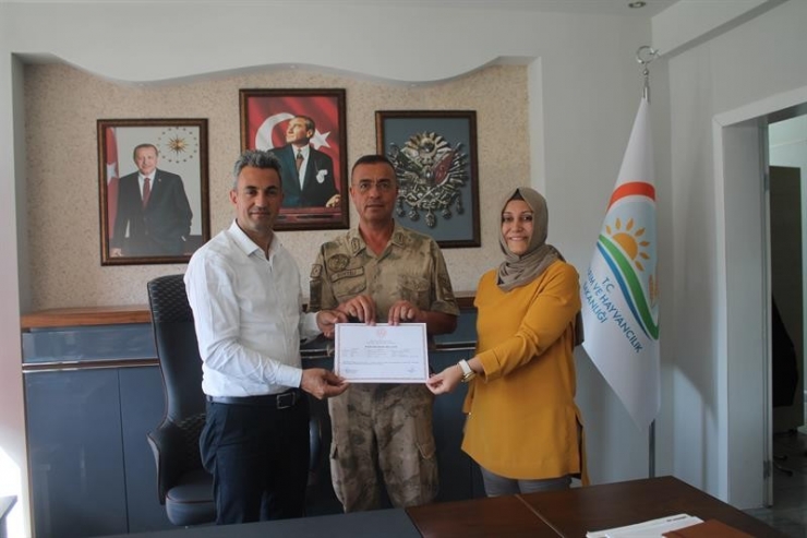 Askerlere Budama Ve Gübreleme Kursu Verildi