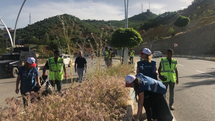 Tunceli’de Belediye Yapmayınca, Valilik Ekip Kurdu Çalışmalara Başladı
