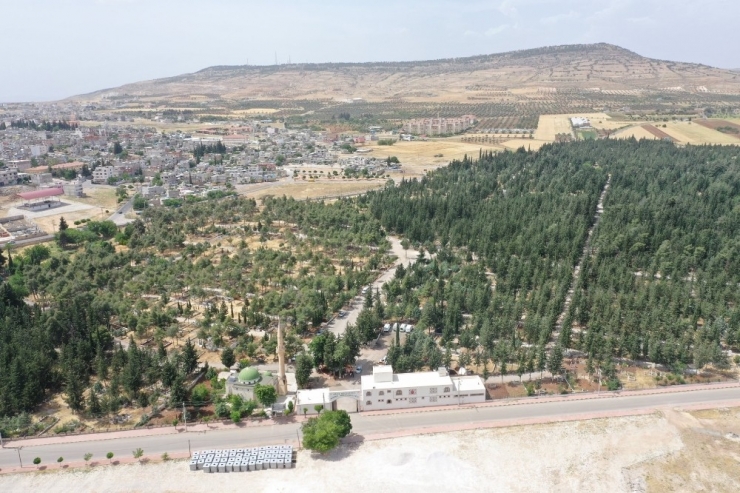 Asri Mezarlık Bayrama Hazır