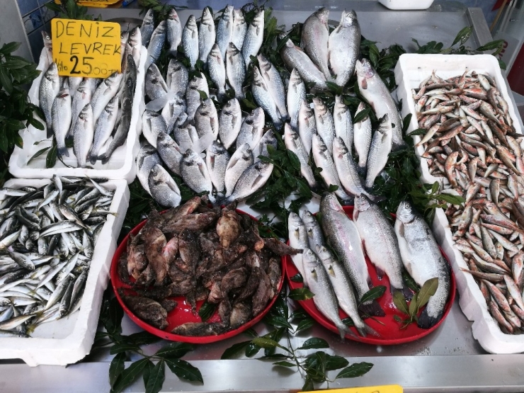 Ramazan Bereketi, Balık Fiyatlarını Düşürdü