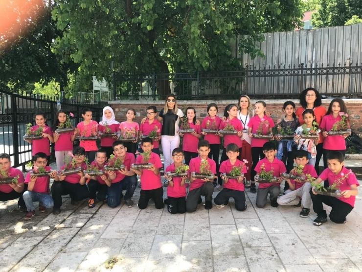 Sağlıklı Çevre İçin Fidan Dikimi