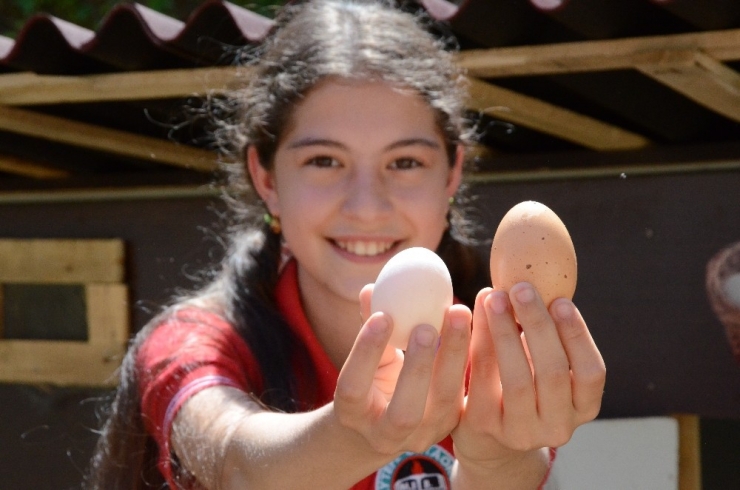 Öğrenciler Bu Okulda Tavuk Besliyor, Sebze Ve Meyve Yetiştiriyor